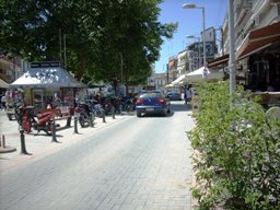 nigrita086