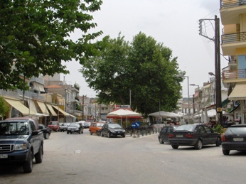 nigrita