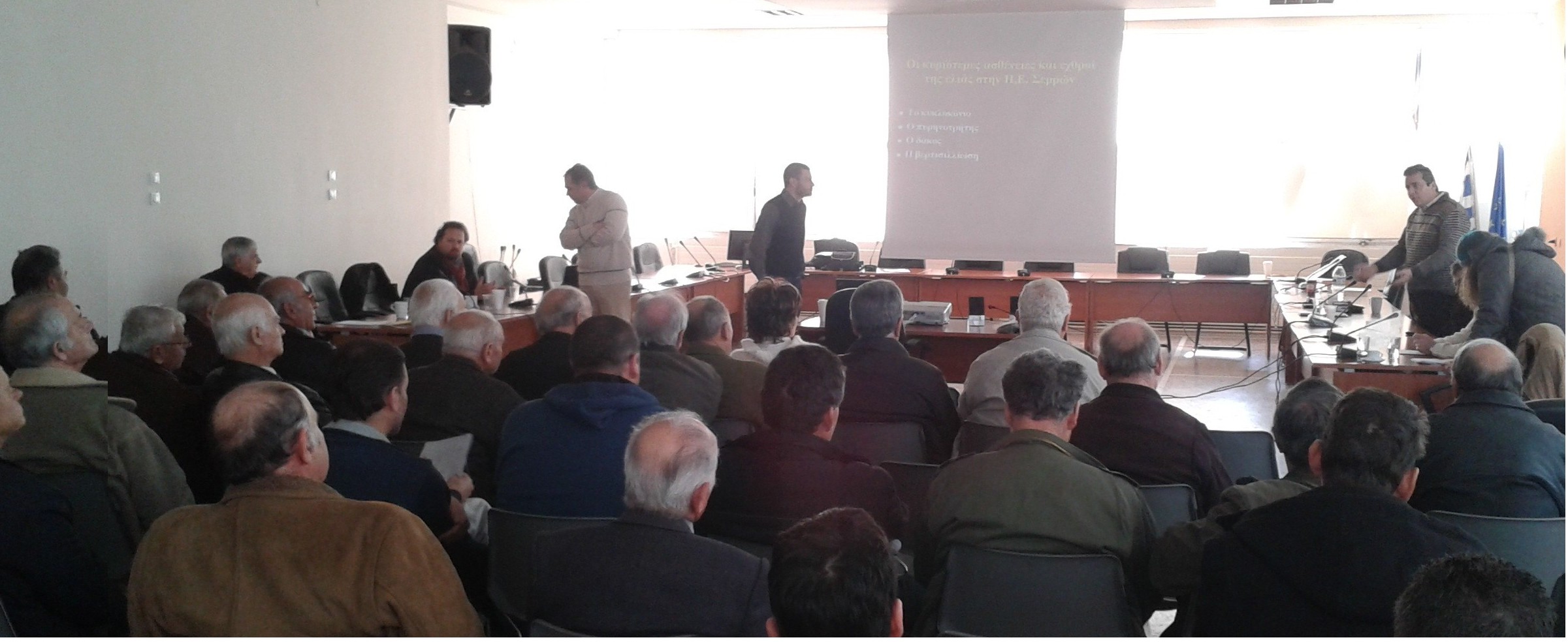 Ενημέρωση για την ελιά στη Νιγρίτα